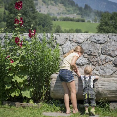 The garden at the farmhouse features a stone wall, tall red flowers, a rustic wooden log, and views of the surrounding mountains.