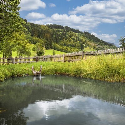 The farmhouse's idyllic natural pond, enclosed by a wooden fence with green mountain slopes under a blue sky.