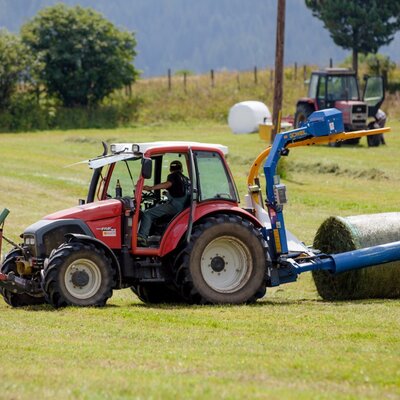 Harvest operation