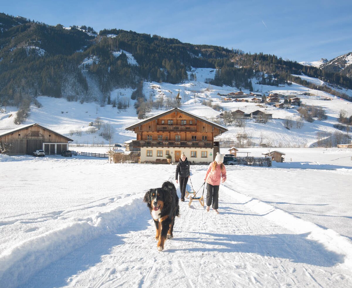 The Farm House surrounded by snow-covered mountains, with two people pulling a sled and a dog on a cleared path.