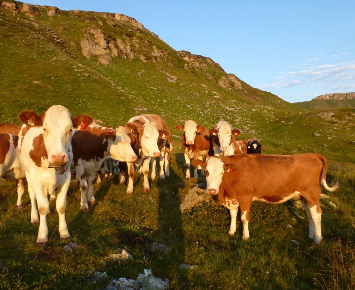 Sunrise / Eckelgrube