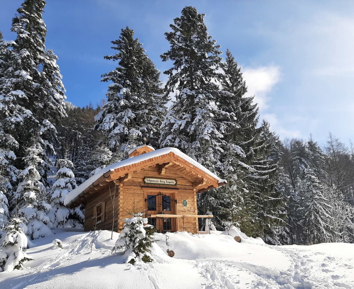 A log cabin chapel on the Farm House property, surrounded by snow-covered evergreen trees.