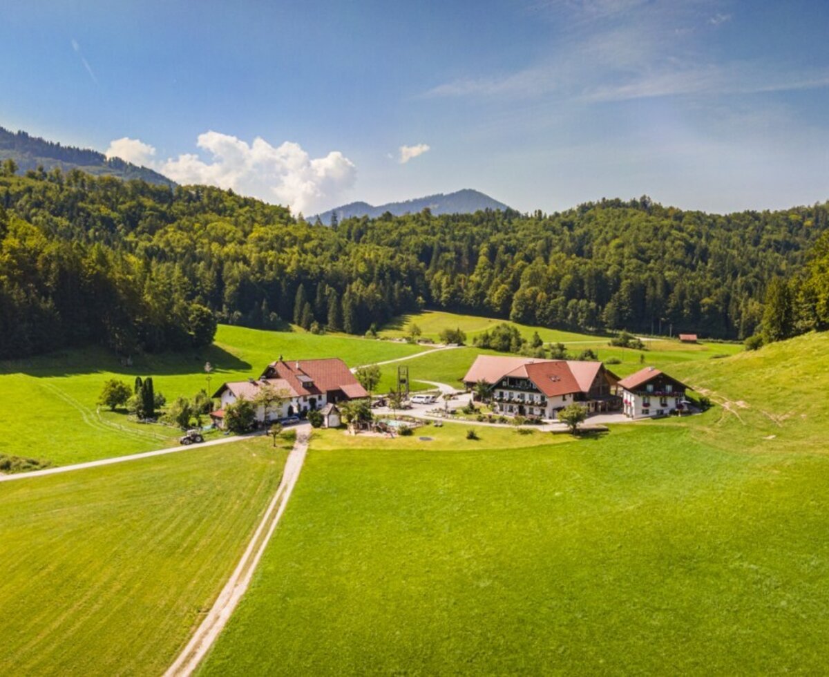 The farm is situated amidst green meadows and forested hills.