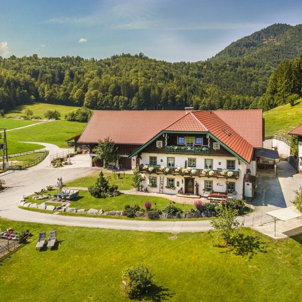 The farm featuring multiple buildings, an outdoor swimming pool, and expansive green areas, set against a backdrop of forests and mountains.
