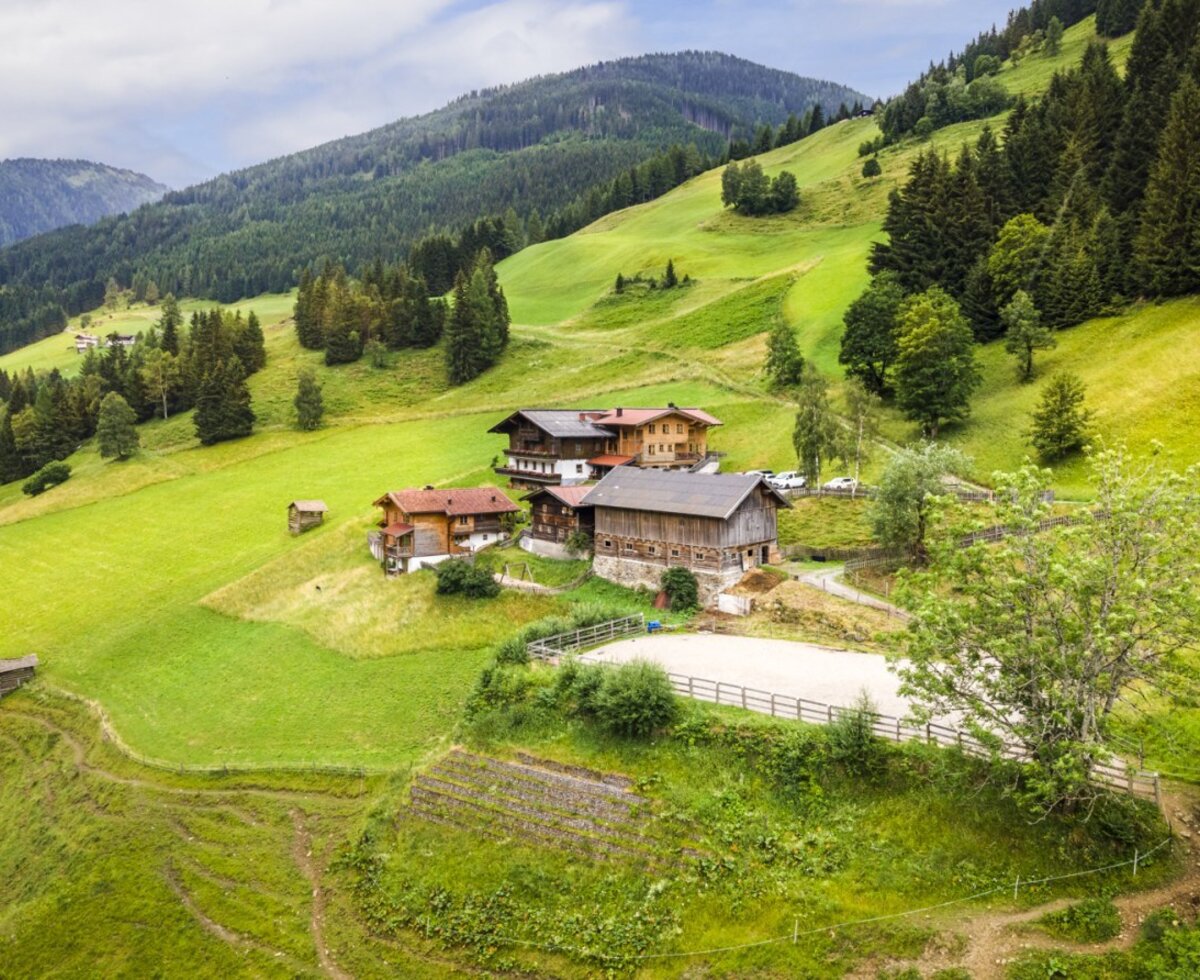 The idyllically situated farmhouse surrounded by lush green meadows and forested mountain slopes.