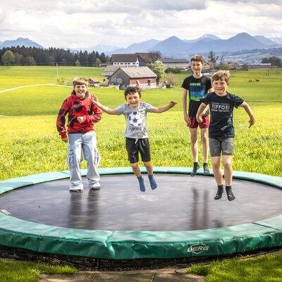 A trampoline for children at the Bauernhof with mountain views.