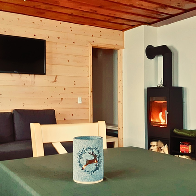 The farmhouse living and dining area features a wood-paneled wall with a TV, a sofa, a modern wood-burning stove, and a dining table.