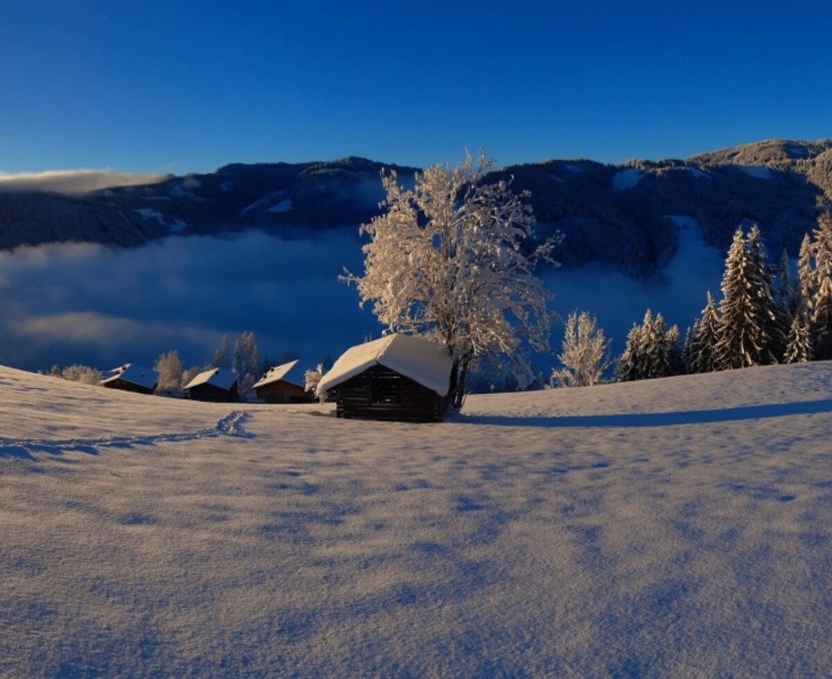 Mountain Farm Brandgut