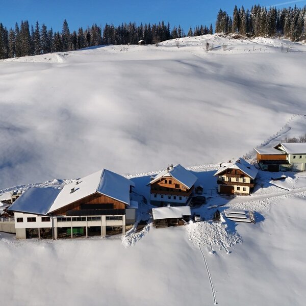 The Ferienwohnung and surrounding buildings in a snow-covered mountain landscape with forest.
