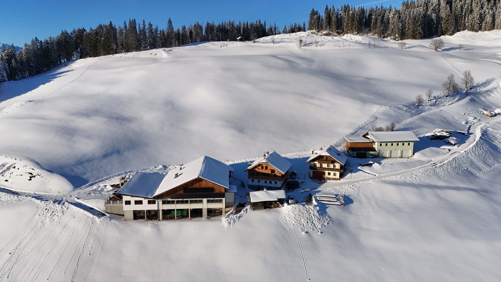 The Ferienwohnung and surrounding buildings in a snow-covered mountain landscape with forest.