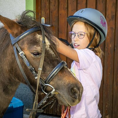 A gentle encounter with the ponies, offering a wonderful experience for young guests at the apartment.