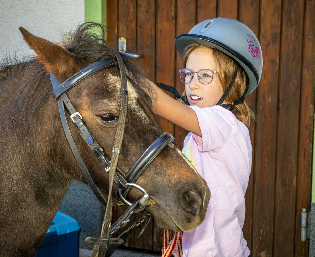 A gentle encounter with the ponies, offering a wonderful experience for young guests at the apartment.