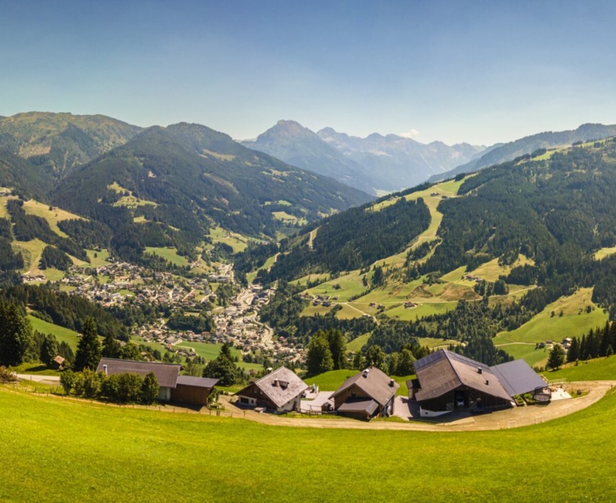 A scenic panoramic view from the Ferienwohnung overlooking lush green meadows and the impressive mountain landscape.