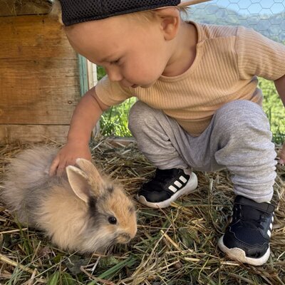 A young guest interacts with a rabbit at the Farm House.