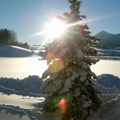 A wonderful good morning