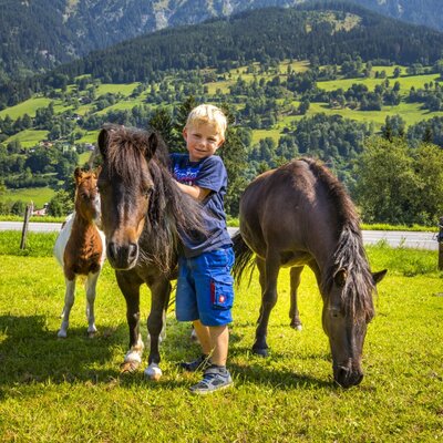 A child with horses and a foal in the meadow of the Bauernhof, surrounded by green mountains.