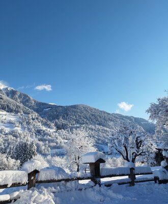 Salzburg-Gastein-organic-farm-Schweizerhof-view