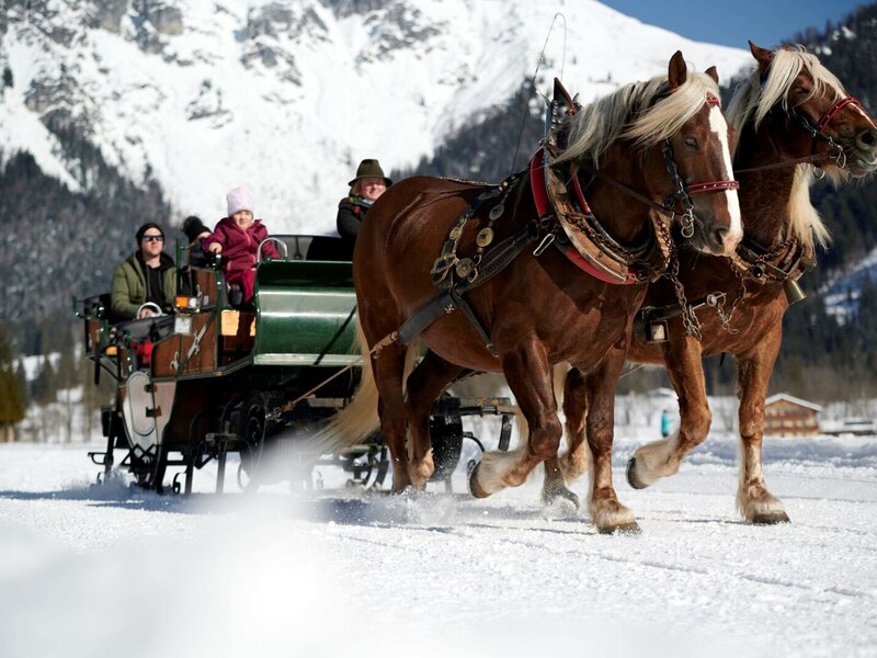 Horse-drawn sleigh