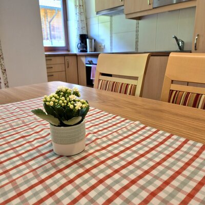 fully equipped eat-in kitchen apartment forest view