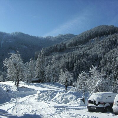 The snowy mountain landscape surrounding the farm house, featuring pine forests, a cleared road, and vehicles parked for guests.