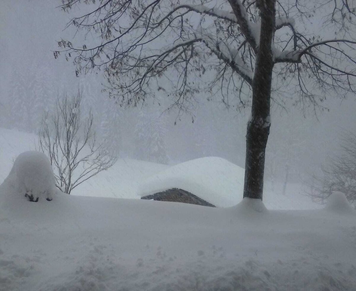Snowy winter landscape around the farmhouse with deep snow and trees.