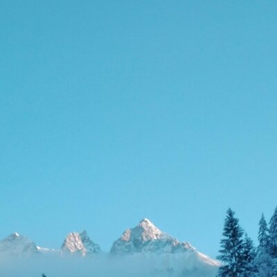Views of snow-capped mountains and a snow-covered forest under a clear blue sky, visible from the Farm House.