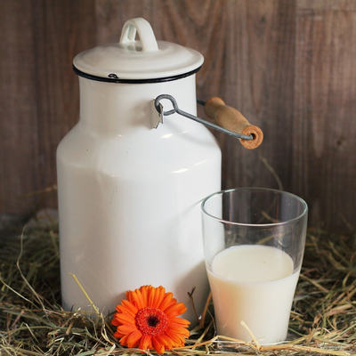 A traditional milk churn and a glass of fresh milk on hay, characteristic of the Farm House.