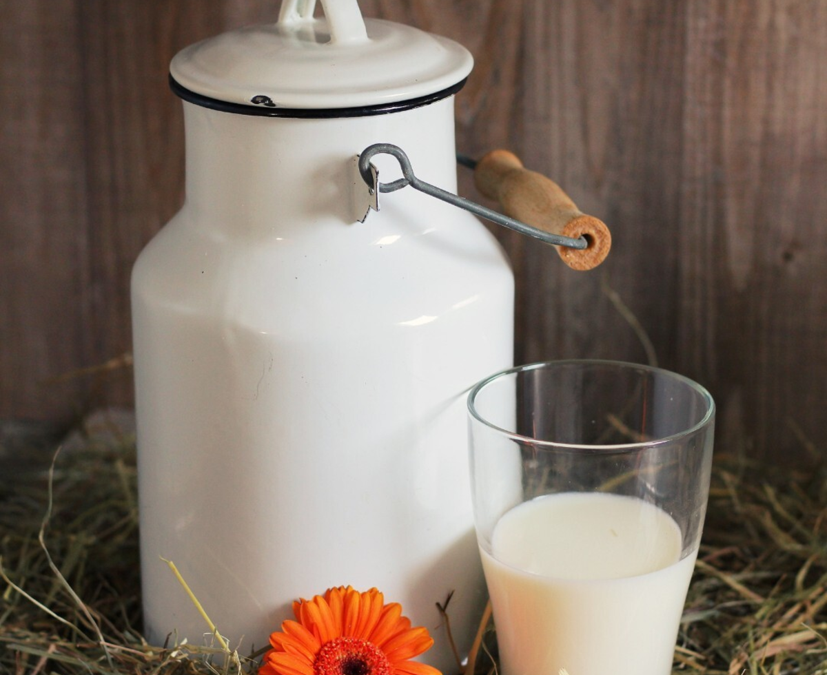 A traditional milk churn and a glass of fresh milk on hay, characteristic of the Farm House.