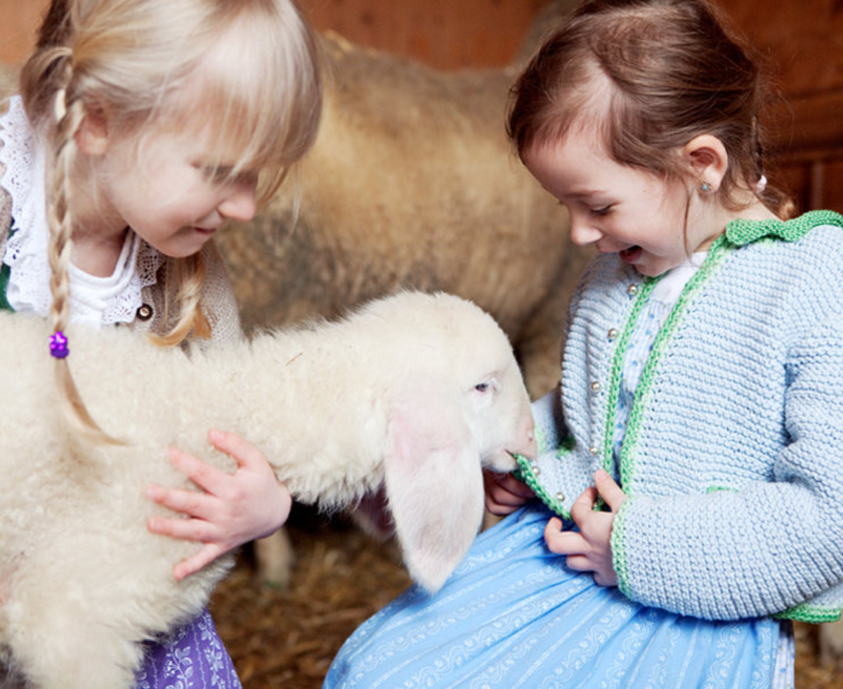 Children interacting with a lamb, an example of the animal experiences available at this Farm House.