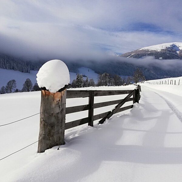 A snow-covered path and wooden fence in the winter landscape, an ideal setting for outdoor activities at the Farm House. A snow-covered path and wooden fence in the winter landscape, an ideal setting for outdoor activities at the Farm House.