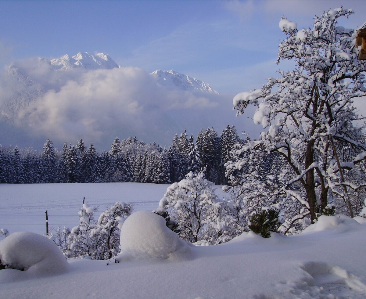 Winter view of snow-covered fields, evergreen trees, and distant mountains partially veiled by clouds near the farm house.