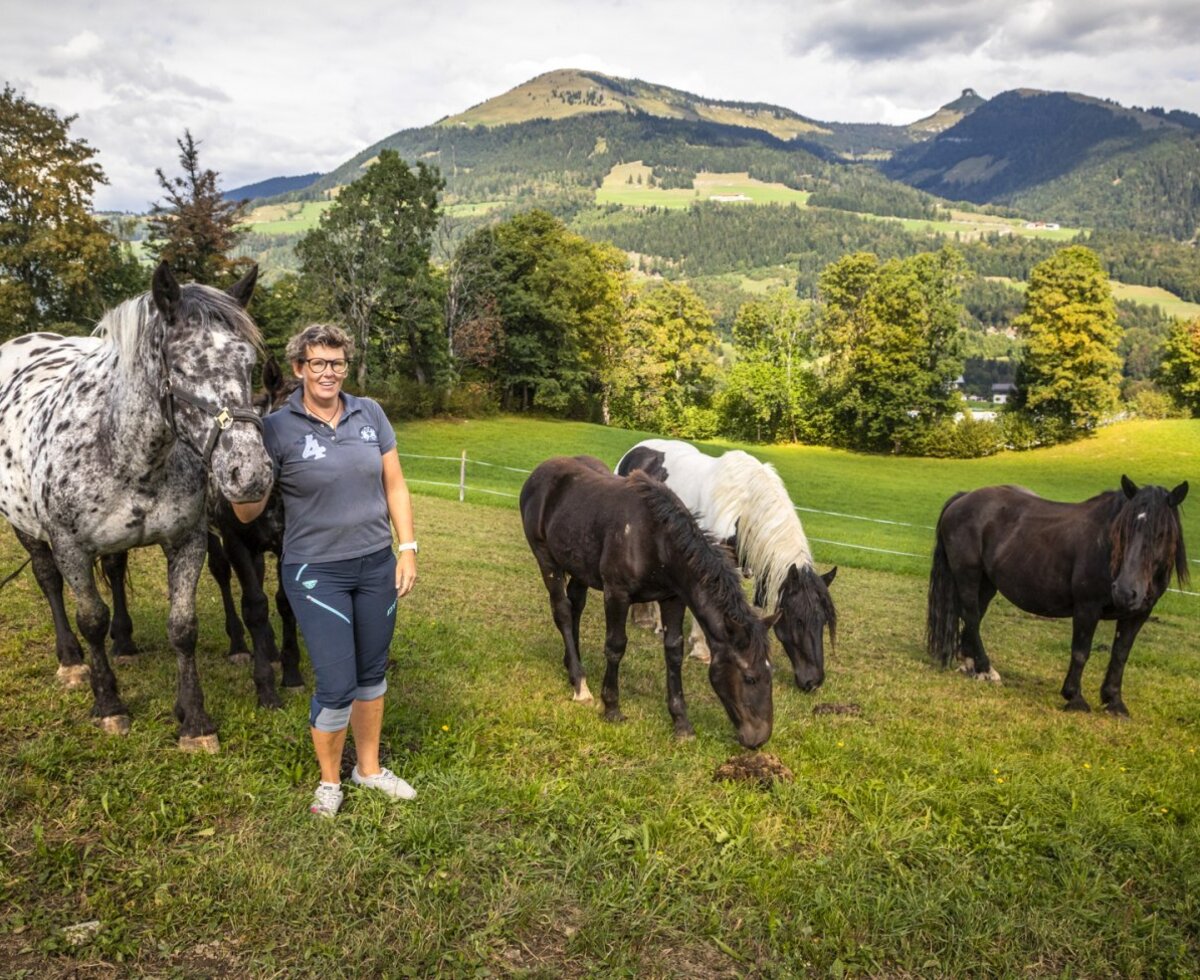 The farmhouse's idyllic pasture with horses and a picturesque view of the surrounding mountains.