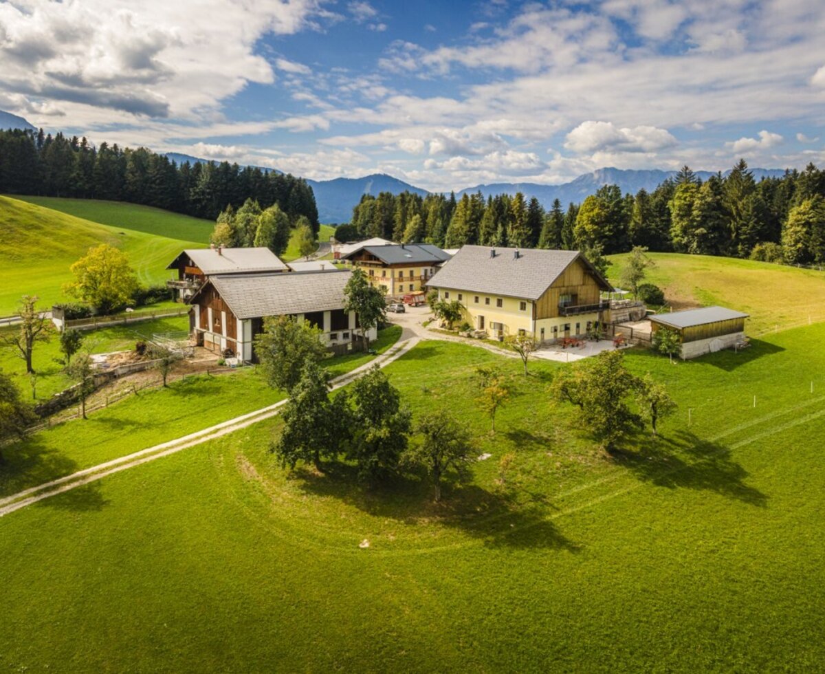 The inviting farmhouse surrounded by vast, green meadows and a picturesque mountain landscape.