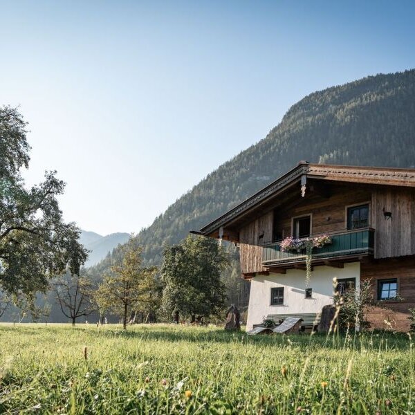 Exterior view of the Bed and Breakfast with a traditional wooden facade, surrounded by a meadow and mountains.
