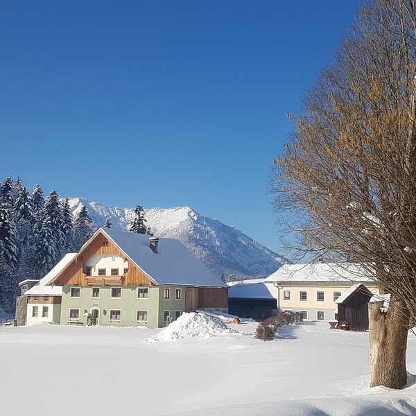 The Farm House exterior in a snow-covered landscape, backed by a forest and distant mountains.