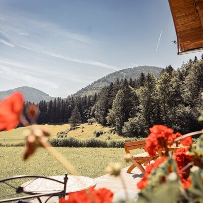 View Rannberg and Faistenauer Schafberg