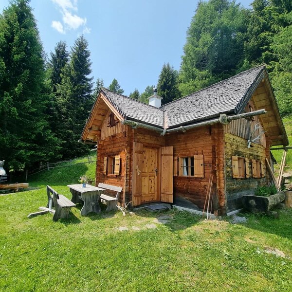 The almhut exterior, surrounded by forest and meadows, featuring an outdoor dining area.
