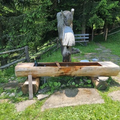 Wooden water trough made from a log with a carved figure in the outdoor area of the Almhütte.