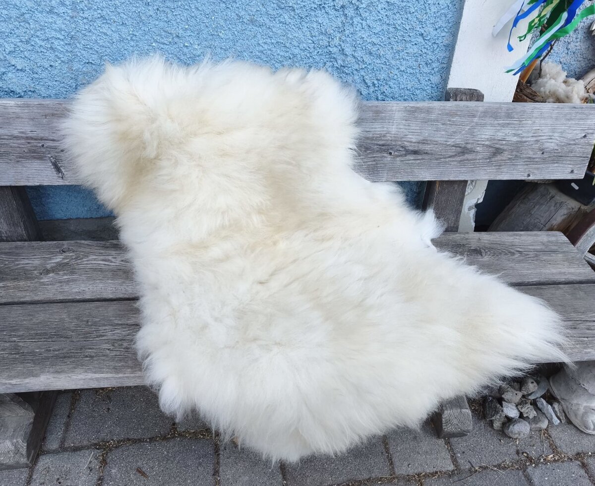 A white sheepskin rug from scottish blackface