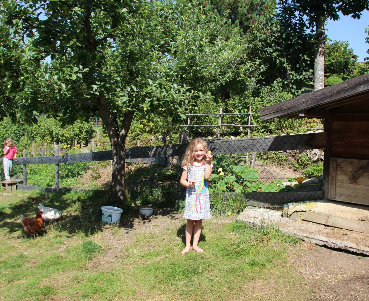 Chicken coop