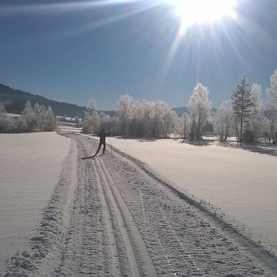 A groomed cross-country ski track winds through a sunny, snowy landscape with frosted trees and distant mountains, available for winter sports near the Farm House.