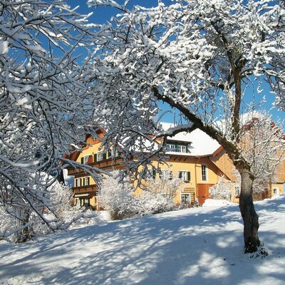The Farm House exterior in a snowy setting, surrounded by snow-covered trees under a clear blue sky.