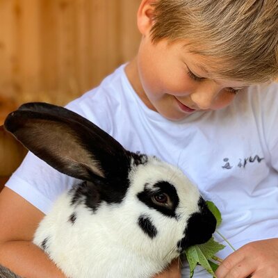 Deutsch Englisch  Where children's hearts beat faster...