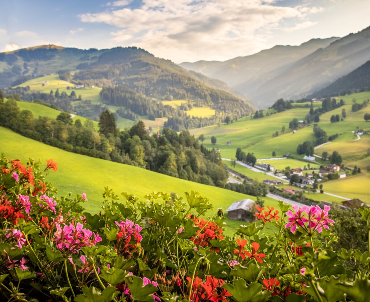 Balcony view from the Farm House showing the mountain valley, green hills, and a village, with flowers in the foreground.