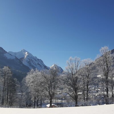 Winter landscape surrounding the Farm House, featuring snow-covered mountains, frosted trees, and a clear blue sky.