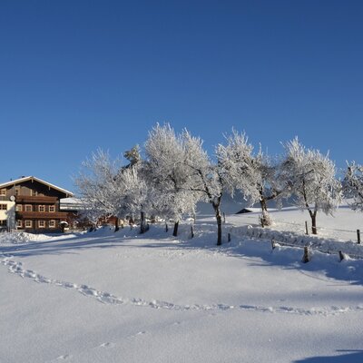 winter view