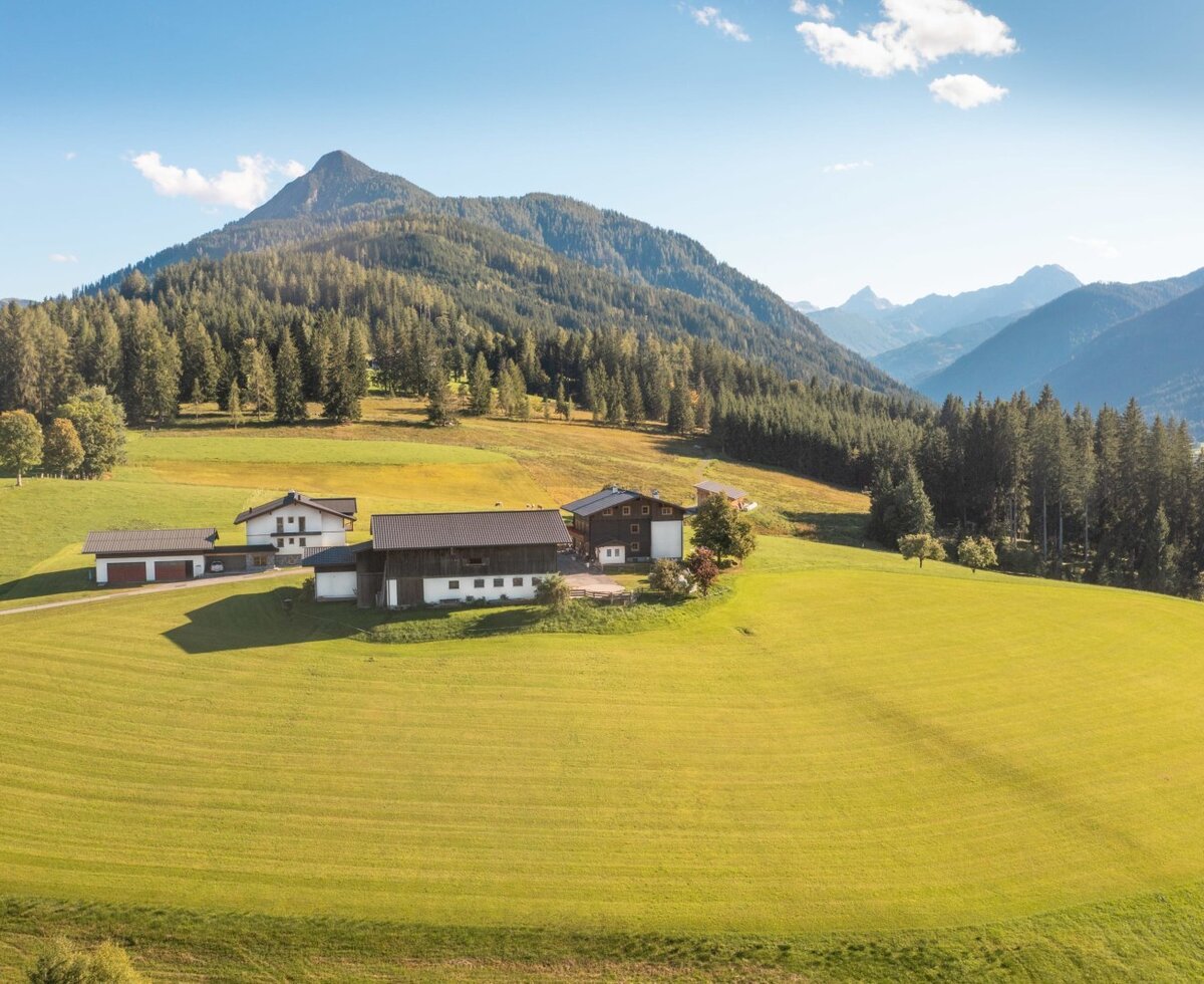 The Farm House property, featuring multiple buildings, is set amidst green meadows, forests, and mountains.