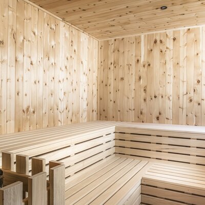 The Alm's sauna with wooden paneling, multi-level benches, and a sauna heater with stones.