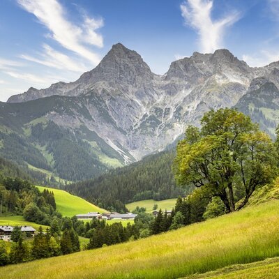 The alm is surrounded by a picturesque mountain landscape featuring lush green meadows and the majestic Hochkönig massif in the background.