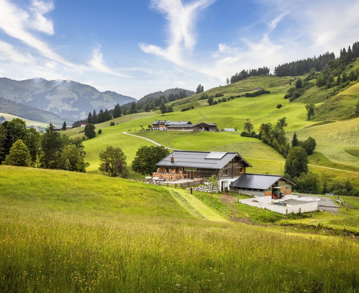The rustic Alm in an idyllic, secluded location, surrounded by lush green meadows and rolling hills.